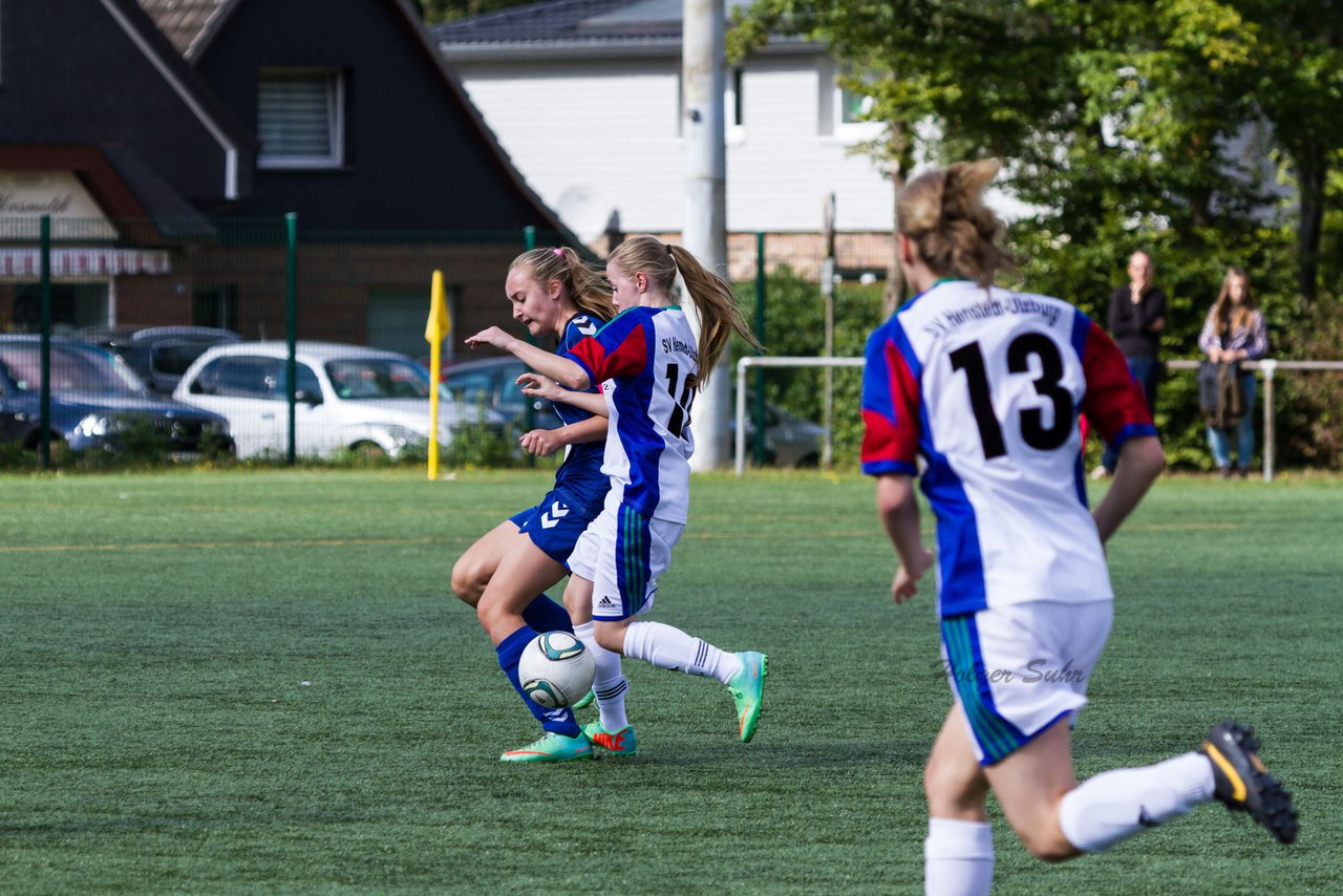 Bild 197 - B-Juniorinnen SV Henstedt Ulzburg - FSC Kaltenkirchen : Ergebnis: 3:2